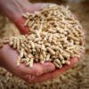 Pelletti 6mm 1000kg – ILMAINEN KULJETUS KOKO SUOMEEN
